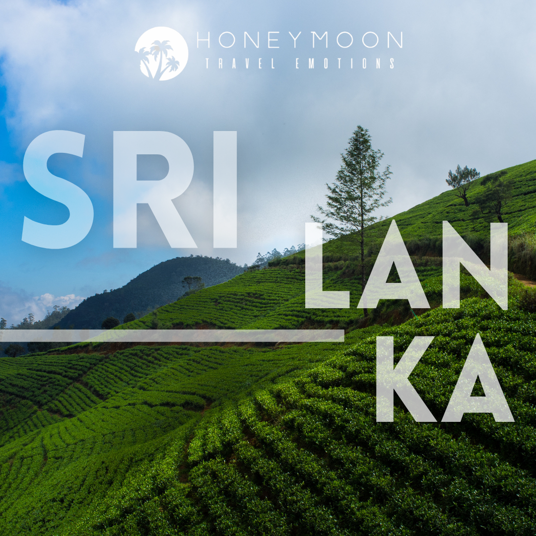Risaie terrazzate tra le verdi montagne della regione di Nuwara Eliya, nello Sri Lanka.