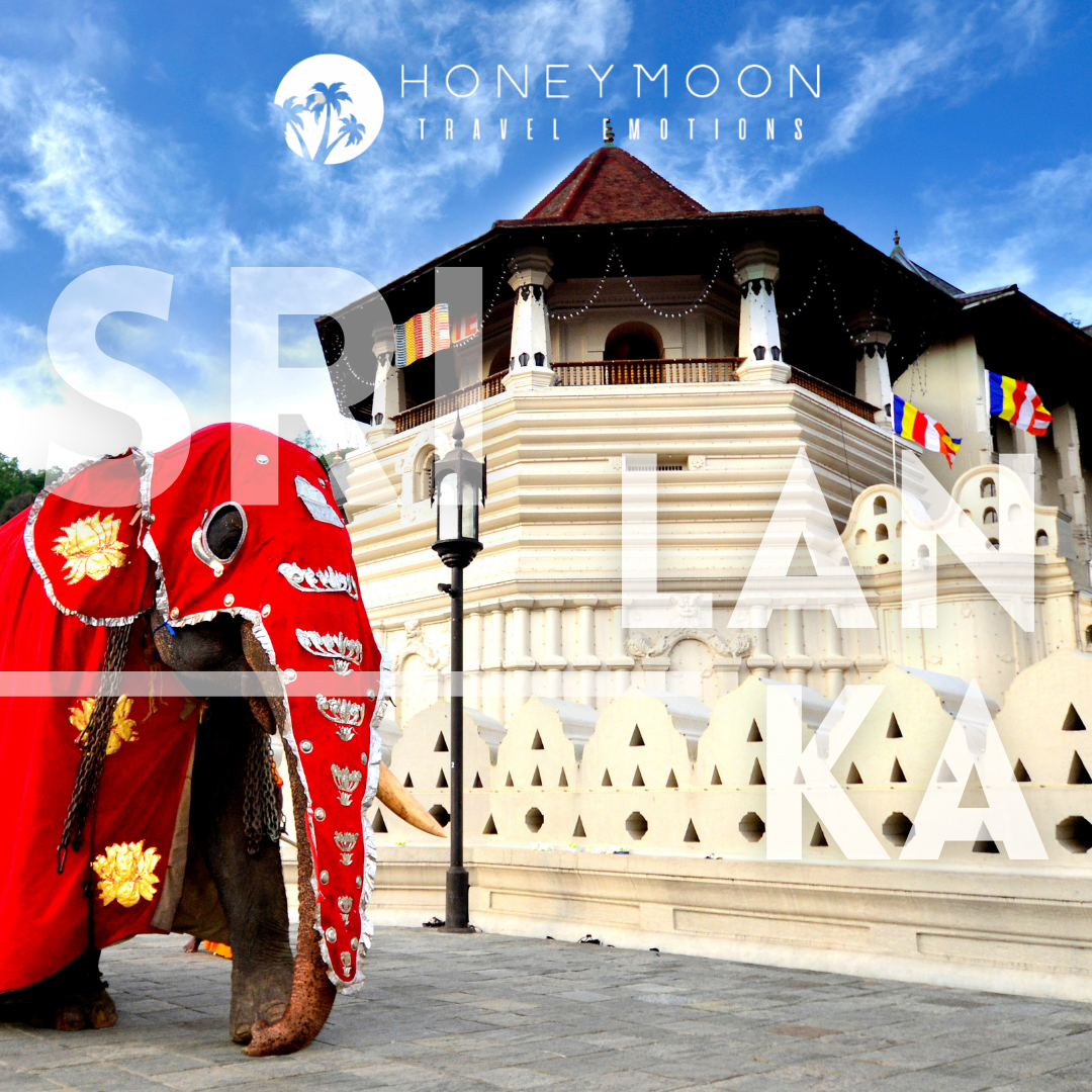 Elefante cerimoniale decorato durante una celebrazione tradizionale a Kandy, nello Sri Lanka.